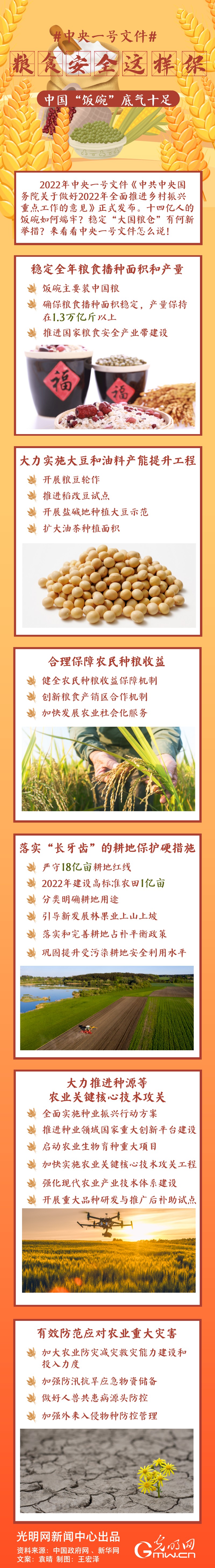 中央一號文件｜糧食安全這樣保，中國“飯碗”底氣十足