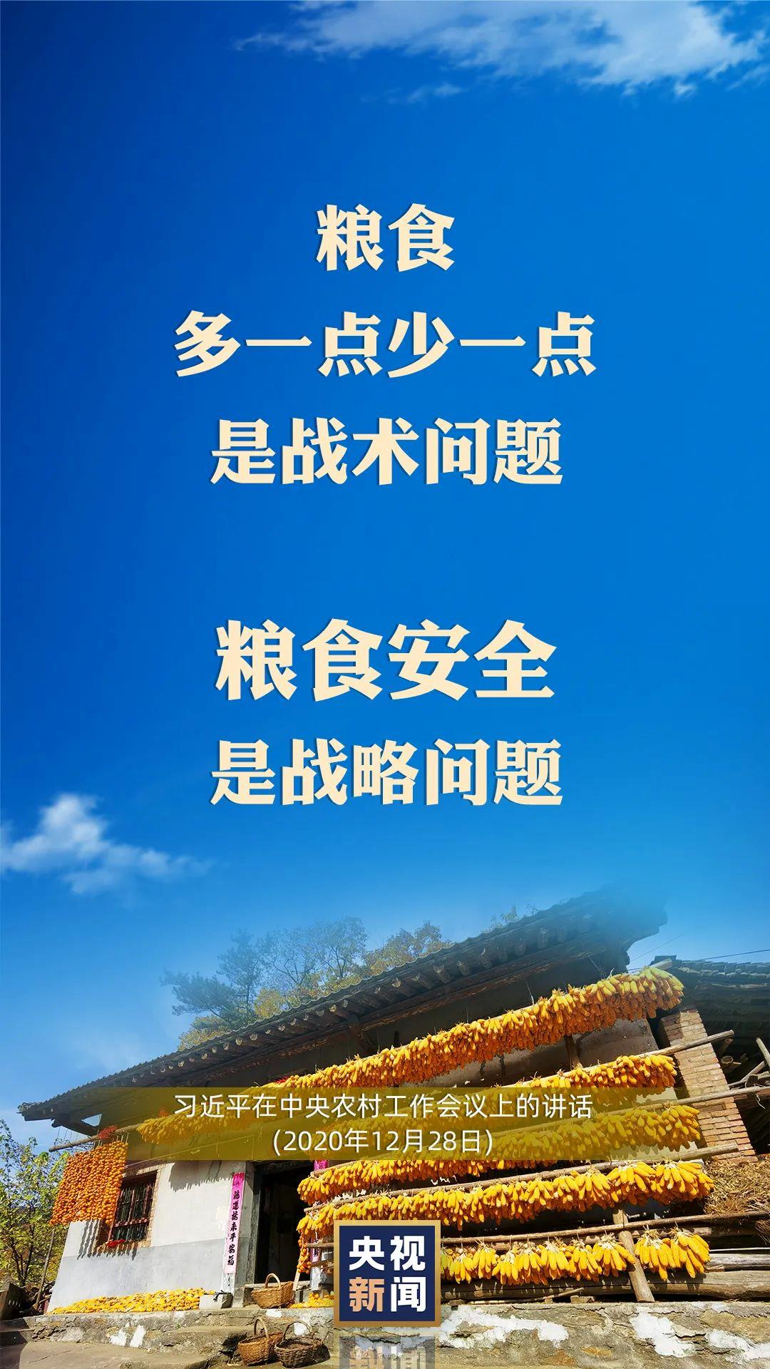 習(xí)近平：以國(guó)內(nèi)穩(wěn)產(chǎn)保供的確定性來應(yīng)對(duì)外部環(huán)境的不確定性