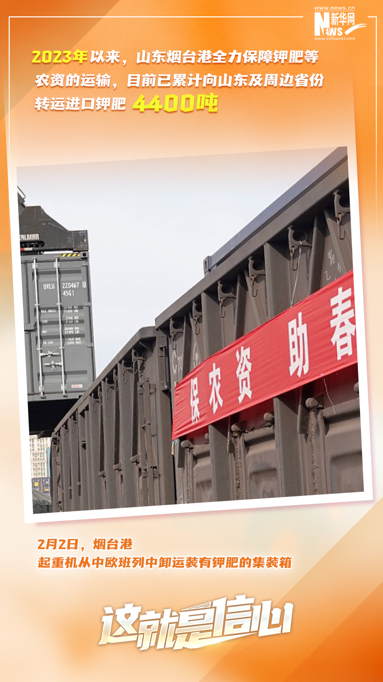 這就是信心｜實(shí)干爭春早，外貿(mào)樞紐貨運(yùn)忙