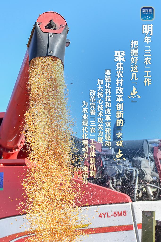 明年“三農(nóng)”工作，這幾個(gè)“點(diǎn)”要把握好