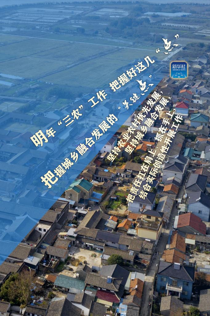 明年“三農(nóng)”工作，這幾個(gè)“點(diǎn)”要把握好