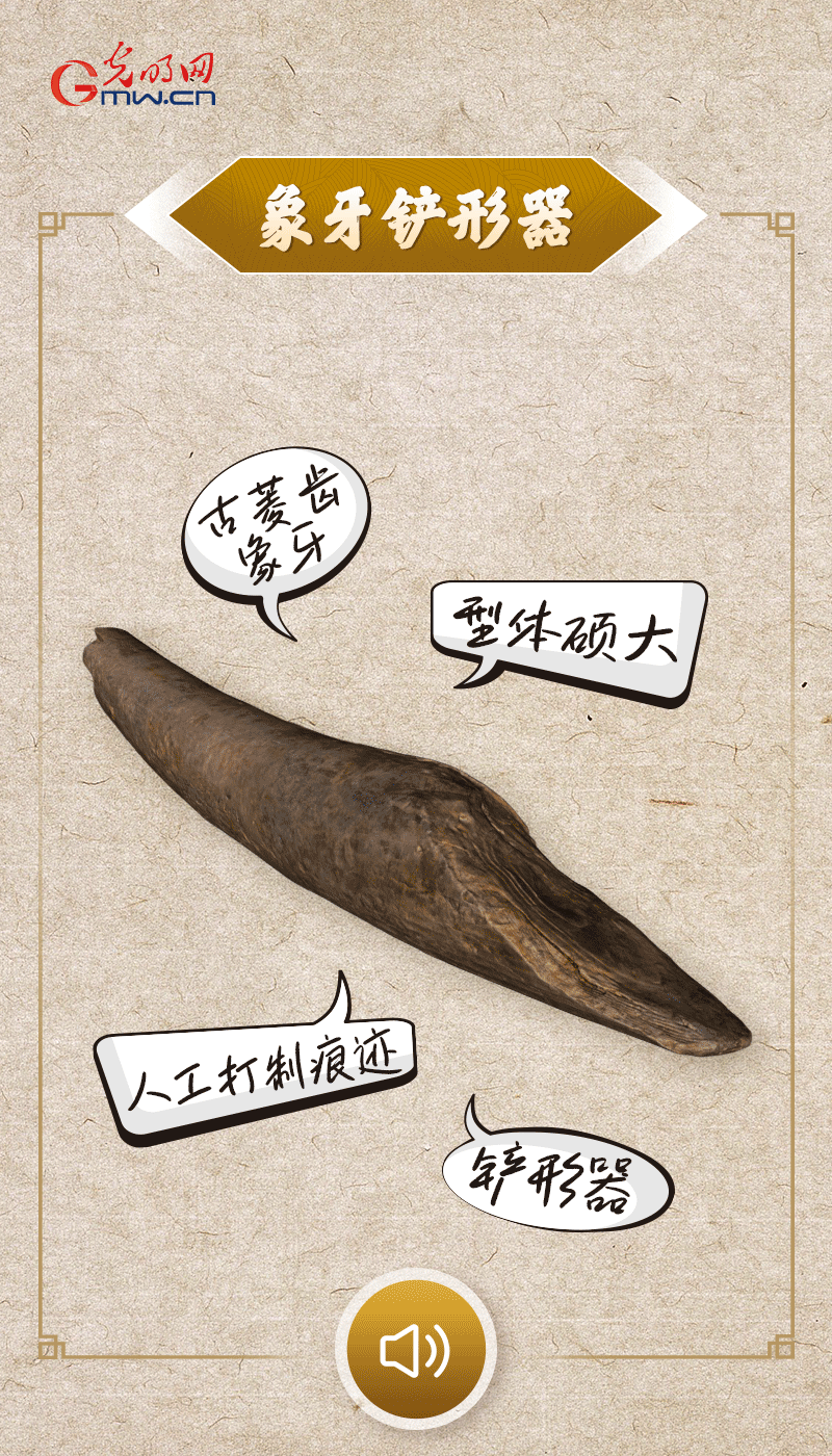 文物會說話 |@所有人，帶你看看“十大考古新發(fā)現”的新故事