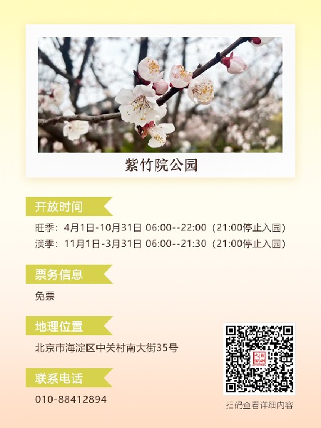追花指南第六期！杏花雨 楊柳風(fēng) 北京最美的杏花在這里