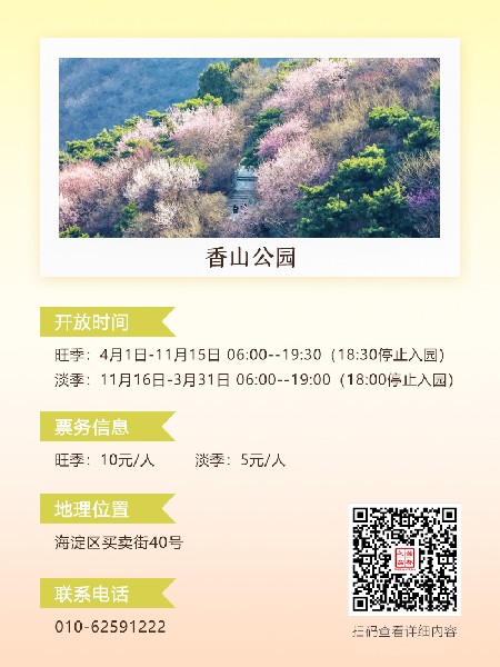 追花指南第六期！杏花雨 楊柳風(fēng) 北京最美的杏花在這里