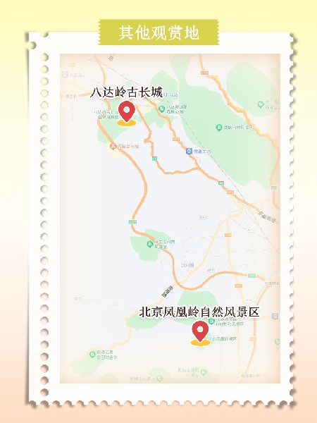 追花指南第六期！杏花雨 楊柳風(fēng) 北京最美的杏花在這里