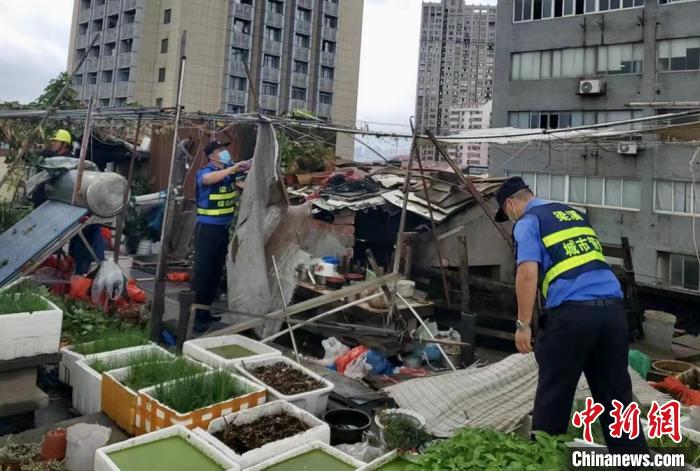 在一處居民樓屋頂，城管隊(duì)員拆除“空中菜園”?！〗疖?攝
