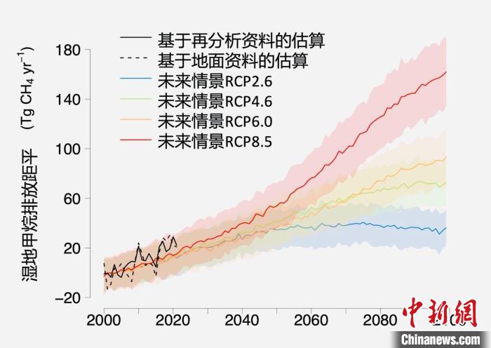 基于觀測(cè)的濕地甲烷排放變化與未來(lái)氣候變化情景下估算的對(duì)比?！≈锌圃呵嗖馗咴?供圖