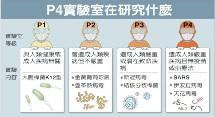 P4實驗室在研究什么。臺灣聯(lián)合新聞網(wǎng)資料圖