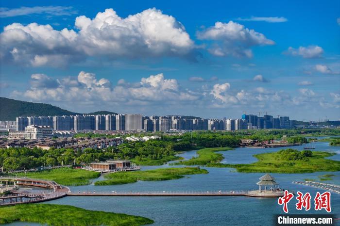 資料圖：航拍蘇州太湖湖濱國家濕地公園，藍(lán)天碧水生態(tài)美。 泱波 攝