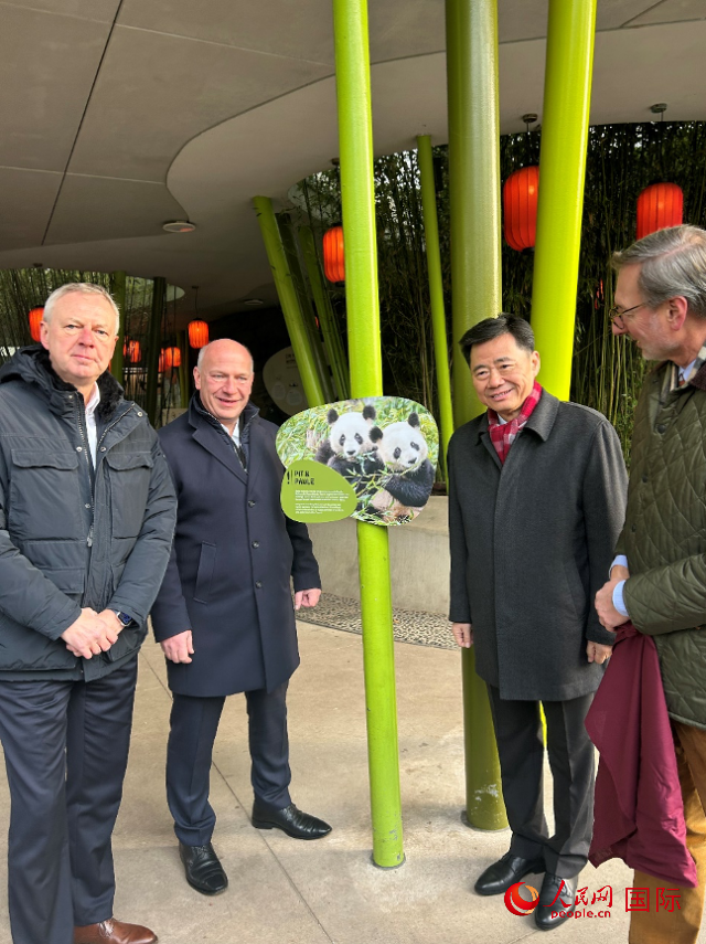 中國駐德國大使吳懇（右二）、柏林市長韋格納（左二）、動物園園長克尼里姆（右一）和監(jiān)事會主席布魯克曼（左一）共同為“夢想”“夢圓”大熊貓紀念牌揭幕。人民網(wǎng)記者 徐馨攝
