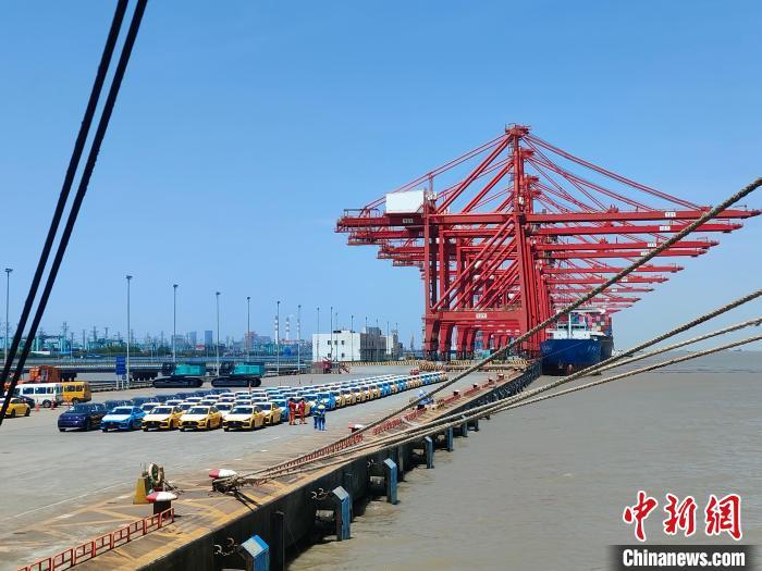 資料圖：國產(chǎn)新能源車在上海外高橋港區(qū)海通碼頭“整裝待發(fā)”?！∑址?攝