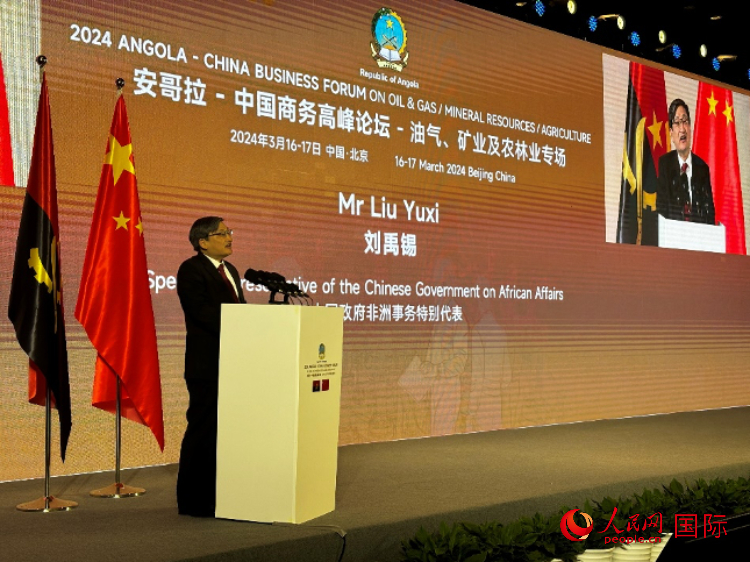 中國(guó)政府非洲事務(wù)特別代表劉禹錫。人民網(wǎng)記者 張榮攝