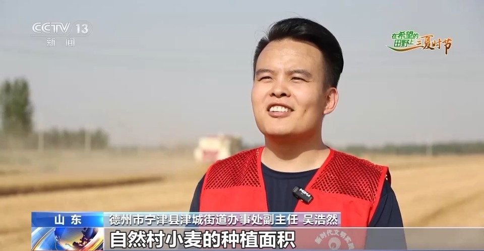 “三夏”生產(chǎn)思維導(dǎo)圖安排上了！還有政府大院等你來“曬”