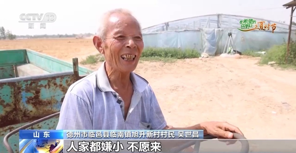 “三夏”生產(chǎn)思維導(dǎo)圖安排上了！還有政府大院等你來“曬”