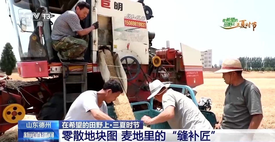“三夏”生產(chǎn)思維導(dǎo)圖安排上了！還有政府大院等你來“曬”