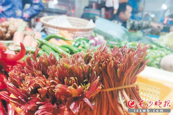 　　農(nóng)貿市場里鮮嫩的香椿?！　【鶠殚L沙晚報全媒體記者 劉捷萍 攝