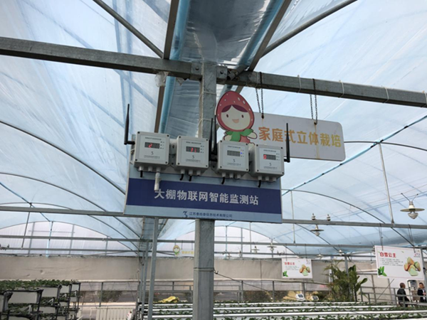 都市四季果園內(nèi)的物聯(lián)網(wǎng)智能監(jiān)測站系統(tǒng)。東?？h委宣傳部供圖