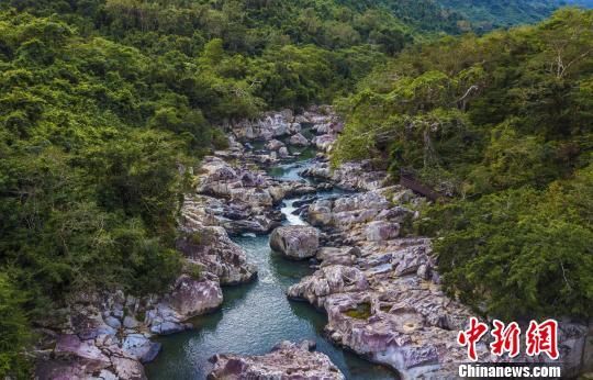 2018年海南生態(tài)環(huán)境狀況等級為“優(yōu)”，植被覆蓋率高，生物多樣性豐富，生態(tài)系統(tǒng)穩(wěn)定，圖為海南中部熱帶雨林。　駱云飛　攝