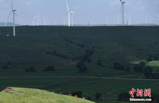 6月28日，河北張家口張北草原上大片風(fēng)力發(fā)電的“風(fēng)車”規(guī)模宏大。 中新社記者 楊艷敏 攝