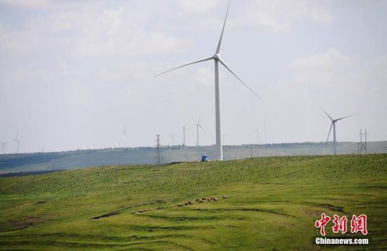6月28日，河北張家口張北草原上大片風(fēng)力發(fā)電的“風(fēng)車”規(guī)模宏大。 中新社記者 楊艷敏 攝