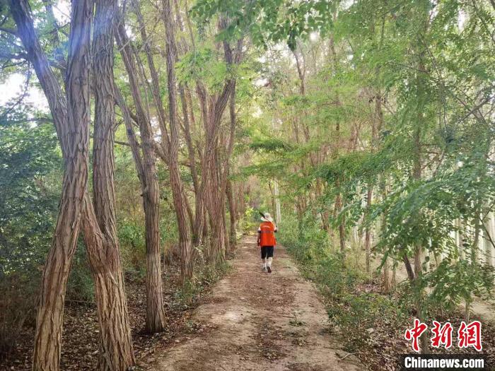 戈壁灘上的護(hù)林員：以前風(fēng)吹睜不開(kāi)眼，現(xiàn)在滿(mǎn)眼皆綠色