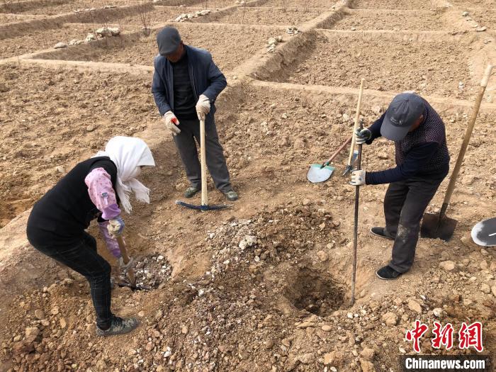 資料圖為建行青海省分行綠化區(qū)施工隊(duì)隊(duì)員處理亂石?！〗ㄐ星嗪Ｊ》中泄﹫D