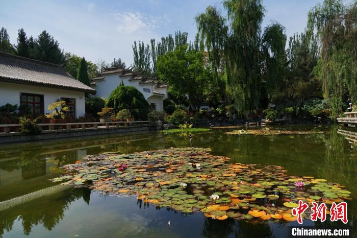 圖為西寧園林植物園秋日風(fēng)景別有韻味?！●R銘言 攝