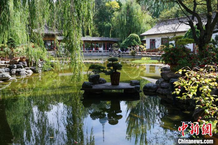 圖為西寧園林植物園秋日風(fēng)景別有韻味?！●R銘言 攝