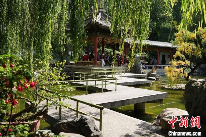 圖為西寧園林植物園秋日風(fēng)景別有韻味?！●R銘言 攝