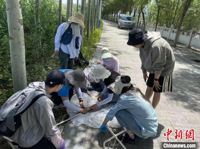 圖為科研人員正在進行監(jiān)測?！∥鲗庝宜畤覞竦毓珗@供圖