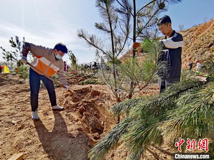 圖為西寧市城東區(qū)義務(wù)植樹活動現(xiàn)場?！?zhí)砀?攝