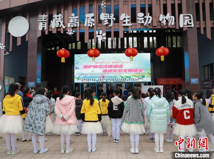 圖為青海省西寧市開展第42屆“愛鳥周”科普宣傳活動(dòng)。　馬銘言 攝