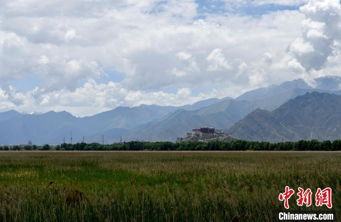 圖為拉薩拉魯濕地?！±盍?攝