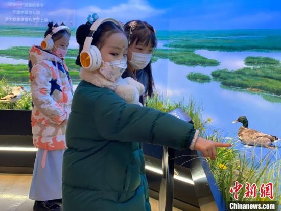 圖為學生在西寧市第一中學濕地科普宣教館內(nèi)參觀?！±罱瓕?攝