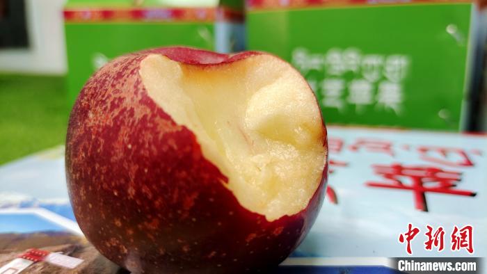 圖為通麥村特色甜心蘋果?！∝暽＠?攝
