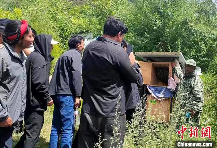 拉久西村村民學(xué)習(xí)養(yǎng)蜂工作流程和防范事項(xiàng)?！〔际忻⒖悼h委宣傳部供圖