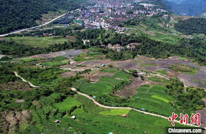 圖為西藏林芝市墨脫縣城附近的茶田。(無(wú)人機(jī)照片) 李林 攝