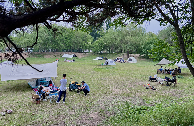“自駕+露營”等多元模式受熱捧。人民網(wǎng)記者 王連香攝