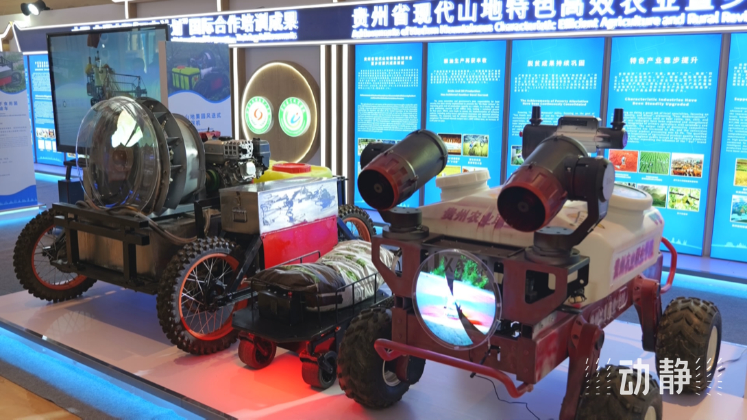 展示成果分享經(jīng)驗，中國—東盟教育交流周深化合作共創(chuàng)未來！