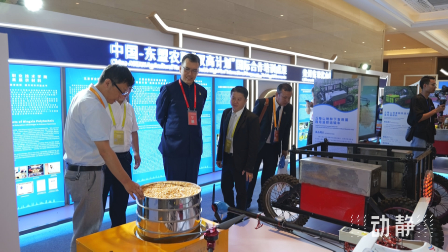 展示成果分享經(jīng)驗，中國—東盟教育交流周深化合作共創(chuàng)未來！