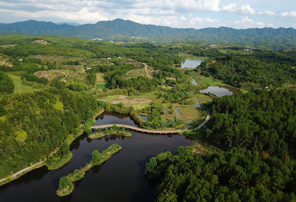 福建省龍巖市長汀縣的長汀汀江國家濕地公園景色（2020年7月28日攝，無人機(jī)照片）。新華社記者 魏培全 攝