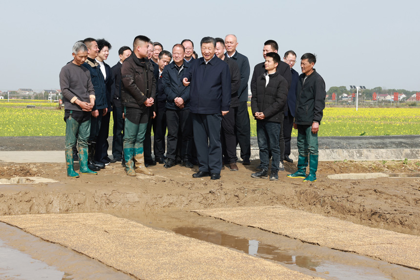 2024年3月18日至21日，中共中央總書記、國(guó)家主席、中央軍委主席習(xí)近平在湖南考察。這是19日下午，習(xí)近平在常德市鼎城區(qū)謝家鋪鎮(zhèn)港中坪村走進(jìn)田間，察看秧苗培育和春耕備耕進(jìn)展。新華社記者 王曄 攝