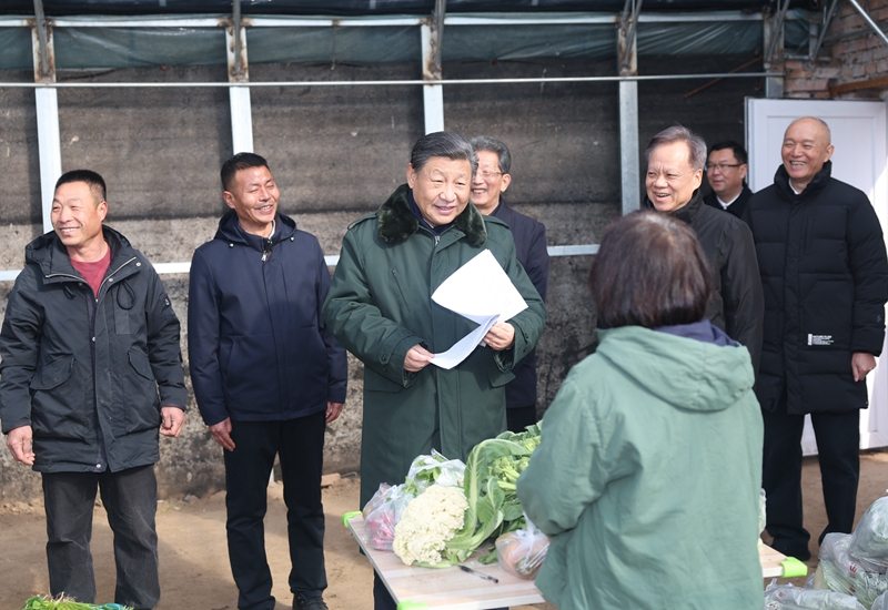 2024年2月1日，習(xí)近平總書記在天津市西青區(qū)辛口鎮(zhèn)第六埠村，走進(jìn)大棚同菜農(nóng)親切交流。