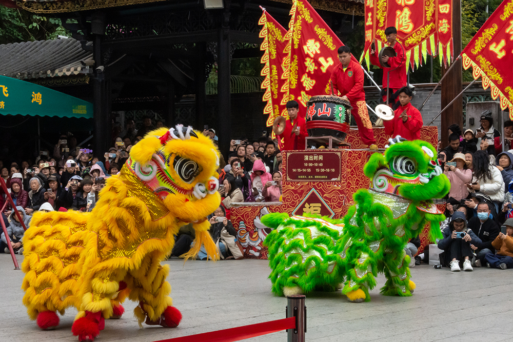 圖為廣東省佛山市祖廟的醒獅表演。