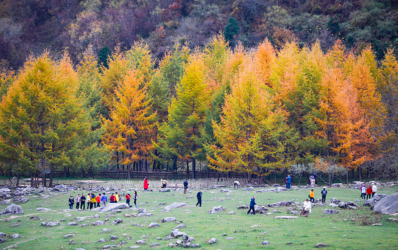 2023年10月27日，深秋時(shí)節(jié)的陜西秦嶺太子嶺漫山紅黃、色彩交織，進(jìn)入最佳觀賞期。