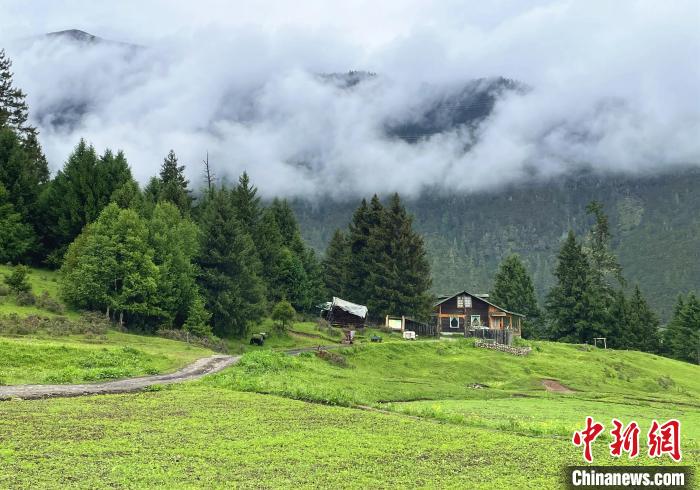 6月10日，魯朗小鎮(zhèn)高山牧場景區(qū)風光?！∪轿木?攝
