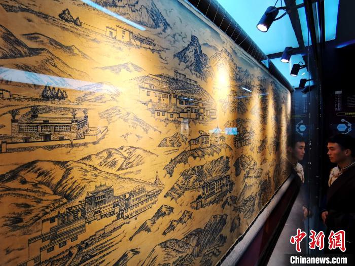 圖為歷代藏醫(yī)藥學(xué)教育機(jī)構(gòu)展示。　張?zhí)砀?攝