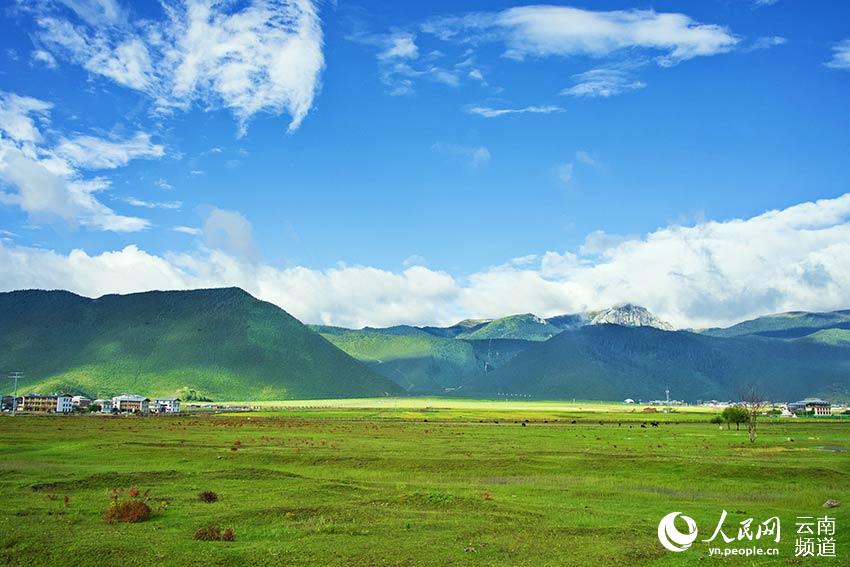 納帕海濕地風(fēng)景。呂昊辰攝