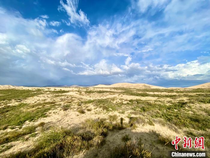 圖為關(guān)停四年后的沙島景區(qū)現(xiàn)狀?！±罱瓕?攝