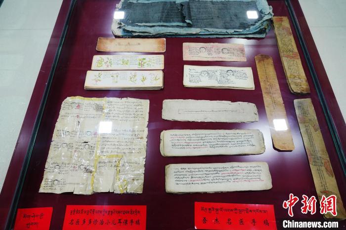 圖為藏醫(yī)古集文獻(xiàn)和藏醫(yī)臨床原始手稿。　馬銘言 攝